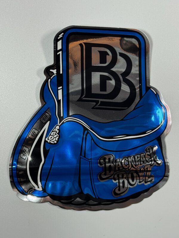 Backpack-Boys Bleu