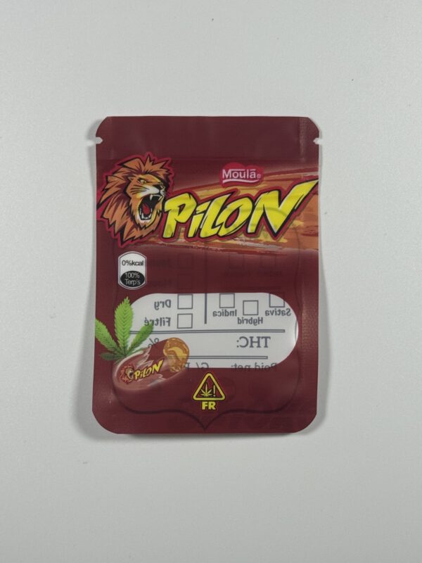 Pilon